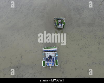 Huzhou, Cina. Il 20 maggio 2015. La vista aerea di due allevatori di trapianto di piantine di riso con la macchina nel campo di risone in Huzhou, nella provincia di Zhejiang, Cina orientale il 20 maggio 2015. Credito: Panda occhio/Alamy Live News Foto Stock