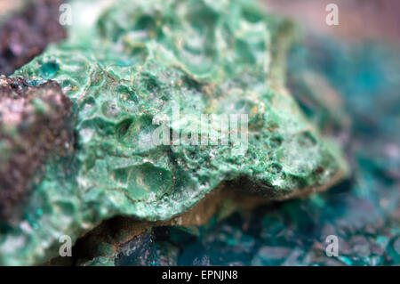 Chrysocolla è un idrato cyclosilicate di rame ha la formula chimica (Cu,Al)2H2Si2O5(OH)4nH2O.ciano (blu-verde) crystal. Foto Stock