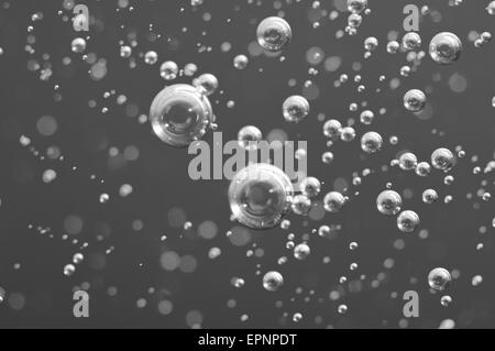 Macro delle bolle di ossigeno in acqua in bianco e nero di sfondo, concetti come ecologia e altri i vostri progetti di successo Foto Stock