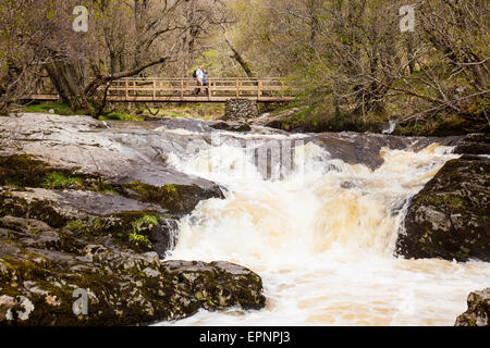 Due escursionisti attraversare il ponte che attraversa la parte superiore scende di Aira Beck, al di sopra di Aria forza, vicino a Ullswater, Lake District, Cumbria Foto Stock