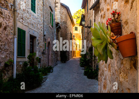 Saluti da Mallorca, la bella isola in Spagna Foto Stock