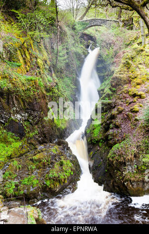 Aira Beck crolla su Aira Force, vicino a Ullswater, Lake District, Cumbria Foto Stock