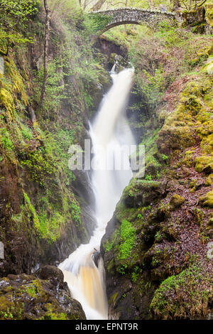 Aira Beck crolla su Aira Force, vicino a Ullswater, Lake District, Cumbria Foto Stock