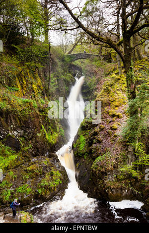 Aira Beck crolla su Aira Force, vicino a Ullswater, Lake District, Cumbria Foto Stock