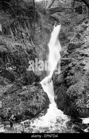 Aira Beck crolla su Aira Force, vicino a Ullswater, Lake District, Cumbria Foto Stock