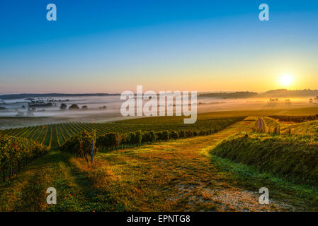 Il castello nel vigneto di Bordeaux Sunrise Medoc Francia Foto Stock