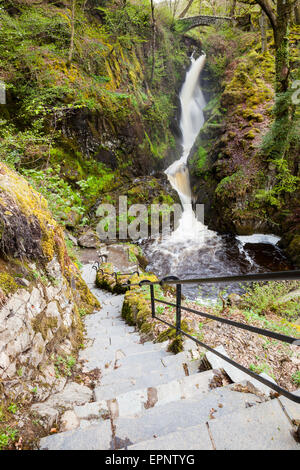 Aira Beck crolla su Aira Force, vicino a Ullswater, Lake District, Cumbria Foto Stock