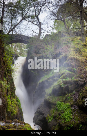 Aira Beck crolla su Aira Force, vicino a Ullswater, Lake District, Cumbria Foto Stock