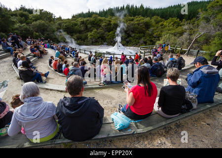 I turisti in attesa per le prestazioni giornaliere di Lady Knox geyser del Wai O Tapu thermal wonderland vicino a Rotorua in Nuova Zelanda Foto Stock