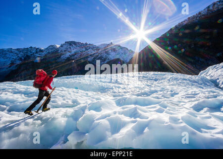 Una guida con la sua ascia di ghiaccio passeggiate in ghiaccio sul ghiacciaio Fox nelle Alpi del Sud della Nuova Zelanda Foto Stock