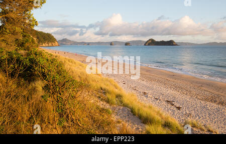 Hahei beach all alba la costa del Coromandel guardando verso Cove Della Cattedrale Foto Stock