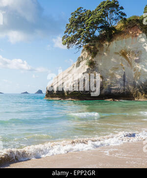 Bianco calcare formazioni rocciose e la spiaggia di sabbia fine a Cove della cattedrale sulla Penisola di Coromandel in Nuova Zelanda Isola del nord Foto Stock