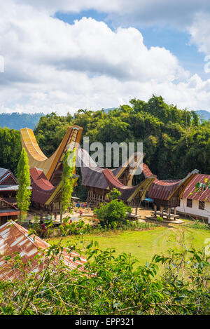 Piccolo villaggio tradizionale con tipica barca tetti sagomato in posizione idilliaca tra belle risaie a terrazze e jungle. Foto Stock