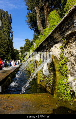Organo ad acqua, Villa d Este, Tivoli, Lazio, l'Italia, patrimonio mondiale dell UNESCO Foto Stock