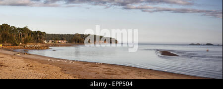 Spiaggia sul fiume tumulo del fiume Clyde in Batemans Bay, Nuovo Galles del Sud, Australia. Foto Stock