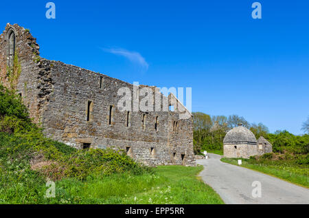Le rovine del centro storico di Penmon Priory con la colombaia dietro, Anglesey, Galles, Regno Unito Foto Stock