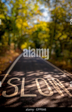 Avviso lento segno dipinto in strada su un vicolo del paese, Essex, Regno Unito Foto Stock