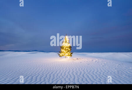 Un albero di natale illuminato nel White Sands National Park Foto Stock