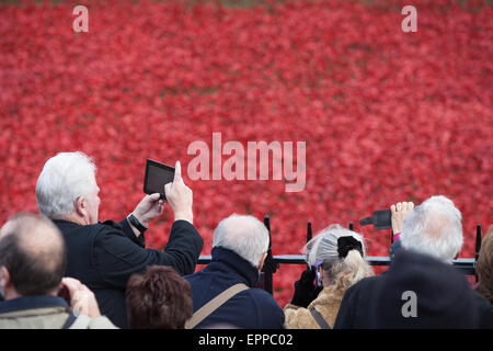 I membri della zona pubica visualizzazione della Torre di Londra papaveri installazione su 6 Novembre 2014 Foto Stock