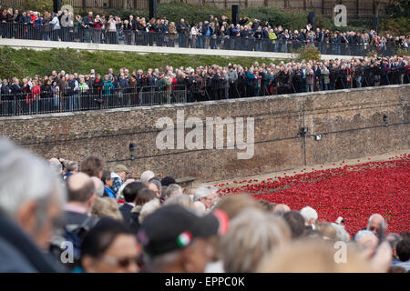 I membri della zona pubica visualizzazione della Torre di Londra papaveri installazione su 6 Novembre 2014 Foto Stock