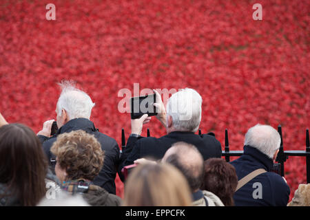 I membri della zona pubica visualizzazione della Torre di Londra papaveri installazione su 6 Novembre 2014 Foto Stock