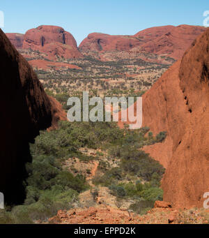 Valle del Vento, l'Olgas / Kata Tjula, Territorio del Nord, l'Australia Foto Stock