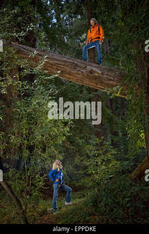 Giovane escursioni nelle foreste di sequoia di Big Sur. Foto Stock