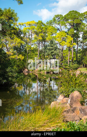 Florida , Del Ray Beach , Morikami Museum & Park , Roji-En Giardini Giapponesi di gocce di rugiada lago dettaglio rocce alberi cespugli Foto Stock