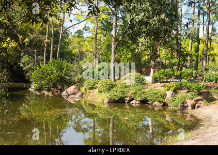 Florida , Del Ray Beach , Morikami Museum & Park , Roji-En Giardini Giapponesi di gocce di rugiada lago dettaglio rocce alberi cespugli Foto Stock