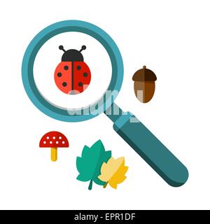 Illustrazione vettoriale di una coccinella da una lente di ingrandimento. Gli insetti sotto la lente di ingrandimento lente di zoom. Design piatto vettore. Per il web e appl Illustrazione Vettoriale