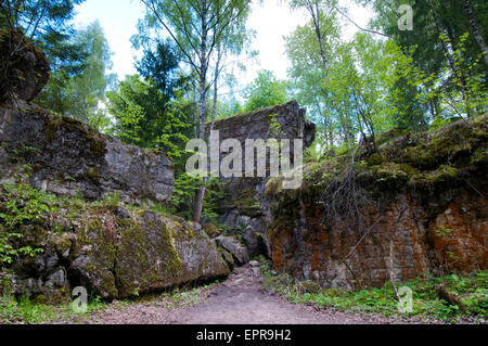 Rovine di Adolf Hitler bunker personale nella Wolfsschanze, Lupo's Lair anteriore orientale quartier generale militare, Polonia orientale Foto Stock