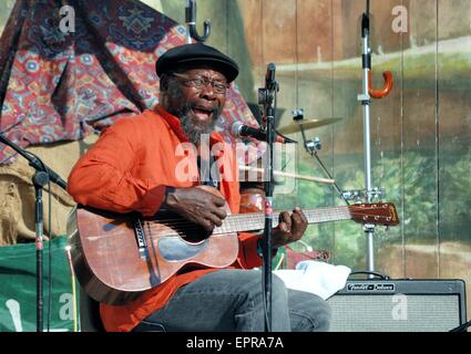 Clinton Fearon, reggae giamaicano al Larmer Tree Festival, Dorset, Regno Unito nel 2013. Foto Stock