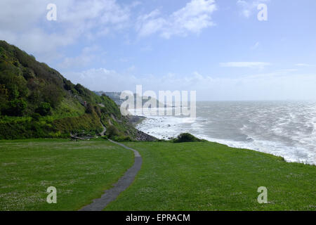 Guardando ad est verso Ventnor da vicino Steephill Cove, sull'Isola di Wight in Inghilterra. Foto Stock