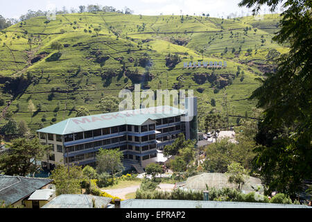 Mackwoods tea break factory building, Nuwara Eliya, provincia centrale, Sri Lanka, Asia Foto Stock