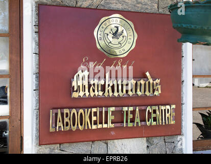 Mackwoods Labookellie tea break del negozio della fabbrica, Nuwara Eliya, provincia centrale, Sri Lanka, Asia Foto Stock