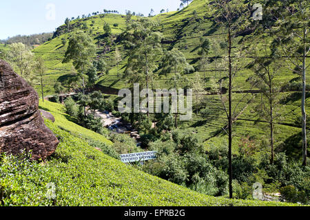 Mackwoods tea break factory hydro power edificio, Nuwara Eliya, provincia centrale, Sri Lanka, Asia Foto Stock