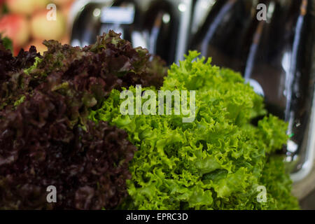 Verde lattuga rossa in un mercato Foto Stock