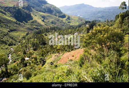 Vista del paesaggio della valle ricoperta di boschi e terreni agricoli, Ramboda, vicino a Nuwara Eliya, provincia centrale, Sri Lanka, Asia Foto Stock