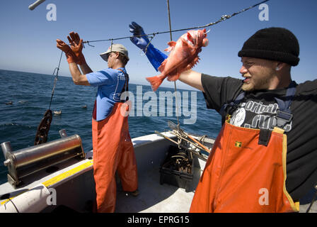 La pesca sostenibile offshore, Big Sur, CA Foto Stock