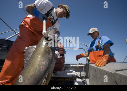 La pesca sostenibile offshore, Big Sur, CA Foto Stock