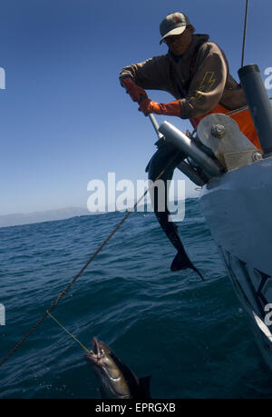 Una pesca sostenibile per il pesce Sable, offshore, Big Sur, CA Foto Stock