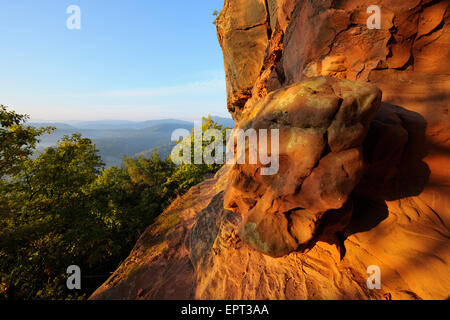 Roccia Arenaria, Hochstein, Dahn, Dahner Felsenland, Pfalzerwald, Renania-Palatinato, Germania Foto Stock