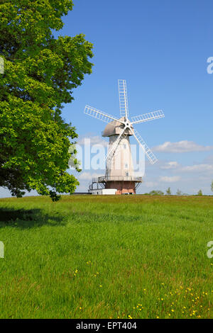 Sandhurst Windmill, Kent, Inghilterra, Regno Unito Foto Stock