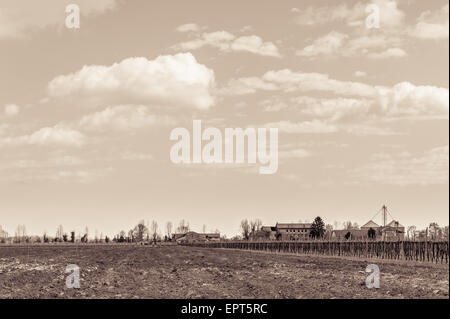 Effetto vintage. Il paesaggio agricolo con vigneto e agriturismo in background. Foto Stock