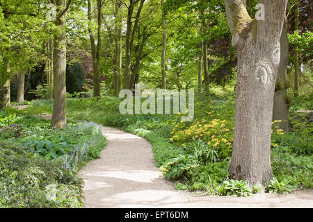 Il giardino di Dunham Massey proprietà del National Trust, Altrincham, Regno Unito. Foto Stock