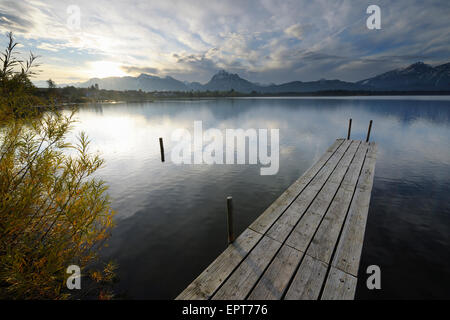 Pontile in legno con Sun, Hopfen am See, Lago Hopfensee, Baviera, Germania Foto Stock