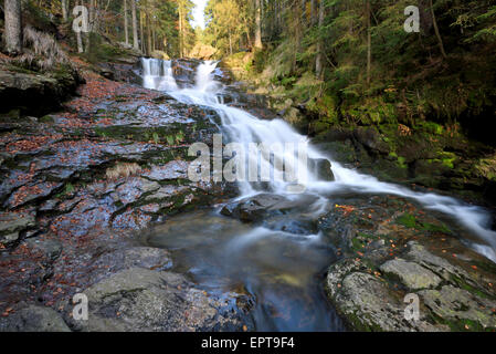 Vista panoramica della cascata e il flusso in Autunno, Foresta Bavarese Natonal Park, Bodenmais, Regen District, Baviera, Germania Foto Stock