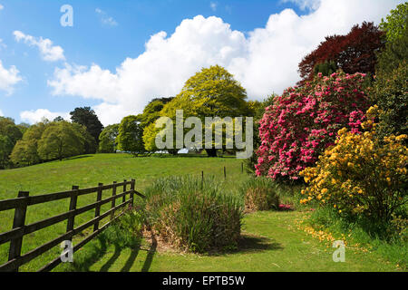 I giardini di Pencarrow house vicino a Bodmin in Cornwall, Regno Unito Foto Stock