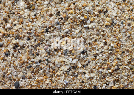 Close-up di pietre sulla spiaggia, Biarritz, Francia Foto Stock