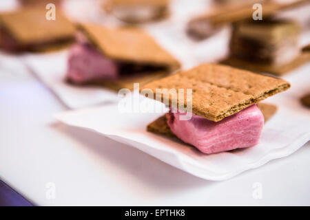 Close-up di Smores con Fragola Marshmallow presso il bar mitzvà Foto Stock